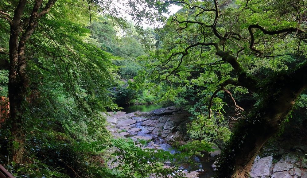 Tsum Valley Trek